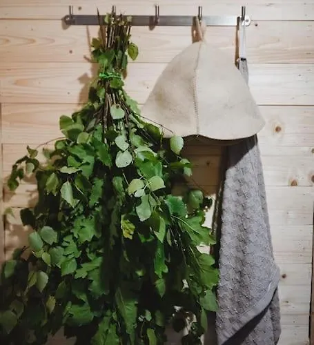 Palukuela Saunad Saunahouse